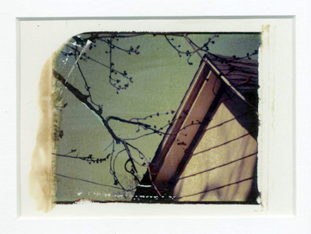 Carbondale Art Walk Two, October 2010 - 'Always Begin Again' Polaroid Transfer by Sue Jenkins